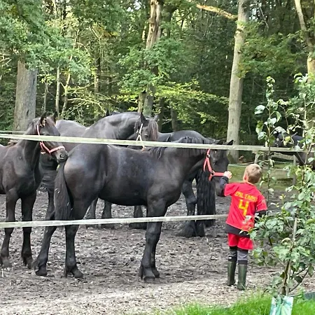 De Swaenhoeve *